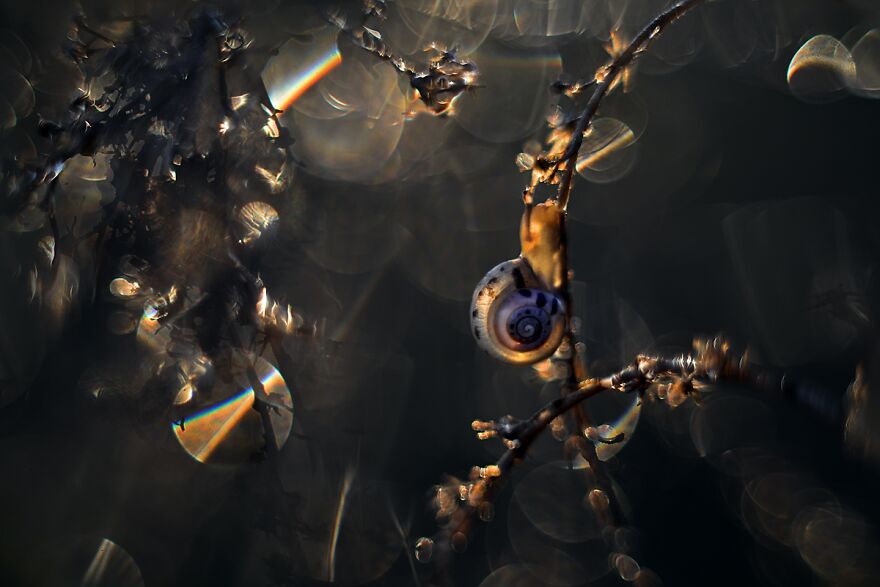 Nature Is Beautiful!