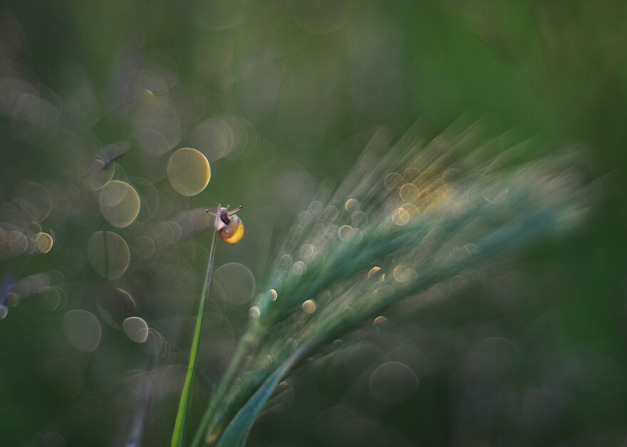 Nature Is Beautiful!