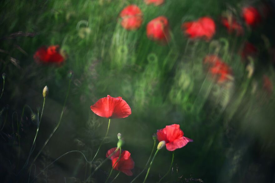 Nature Is Beautiful!