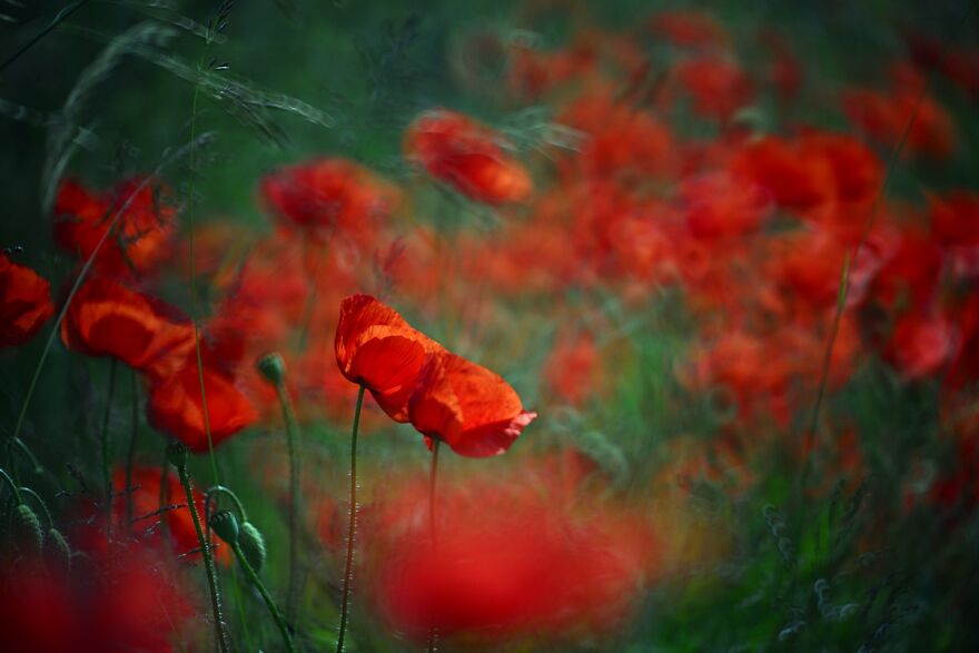 Nature Is Beautiful!