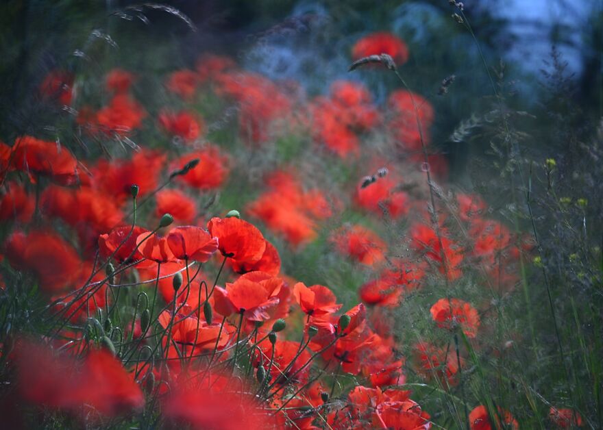 Nature Is Beautiful!