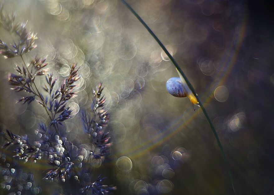 Nature Is Beautiful!