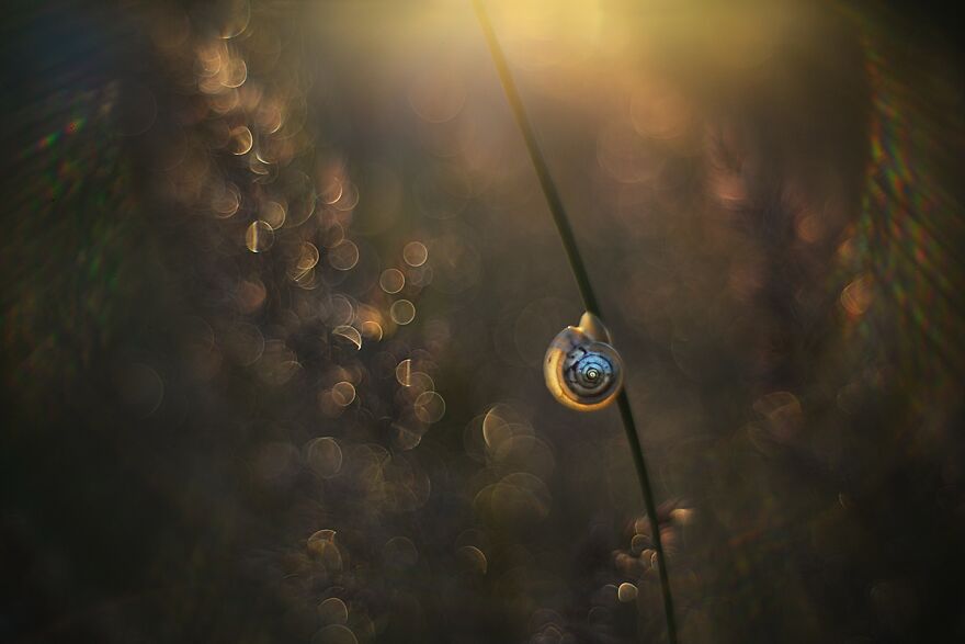 Nature Is Beautiful!