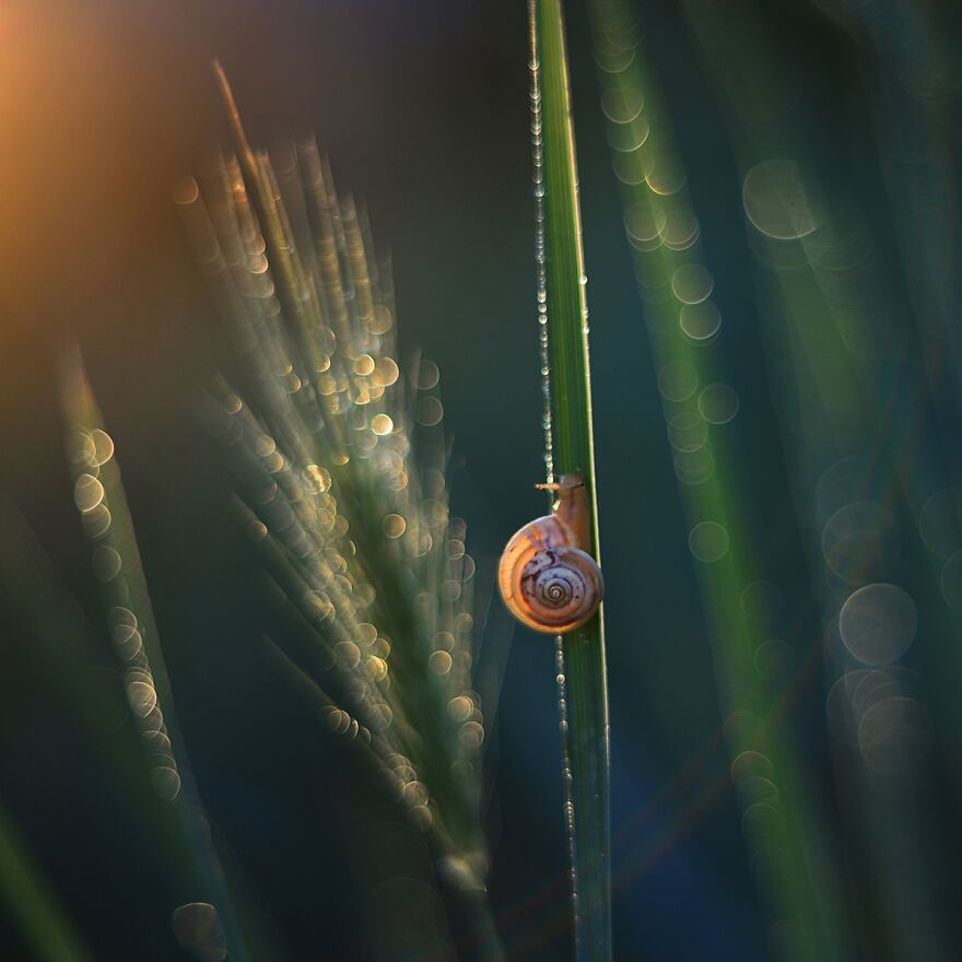 Nature Is Beautiful!