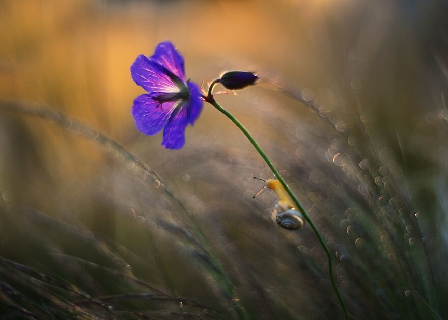 Nature Is Beautiful!