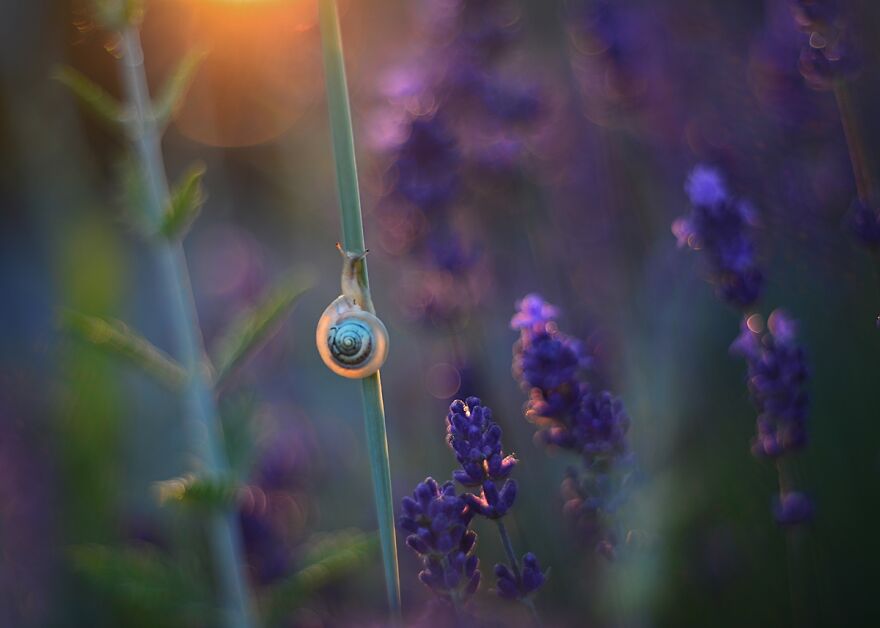 Nature Is Beautiful!