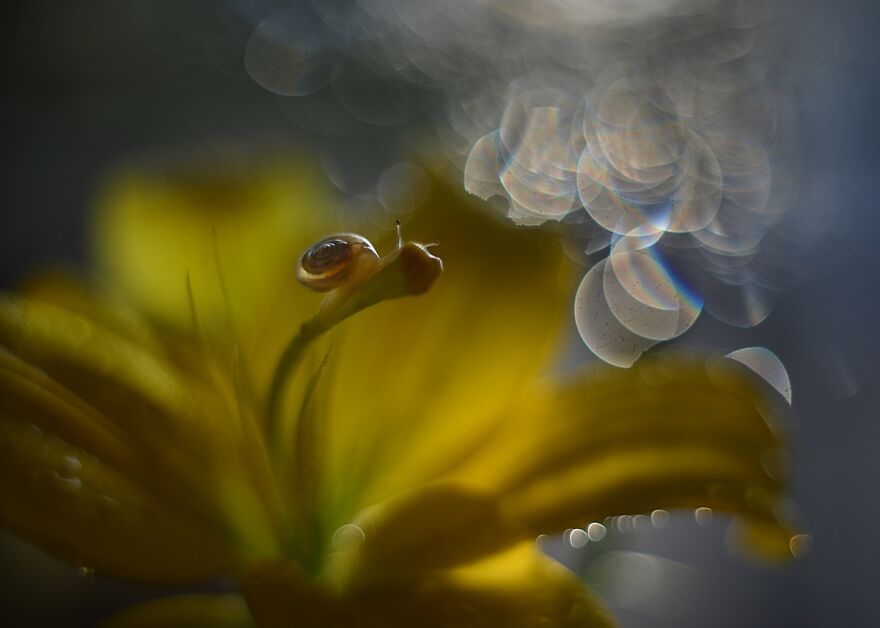 Nature Is Beautiful!