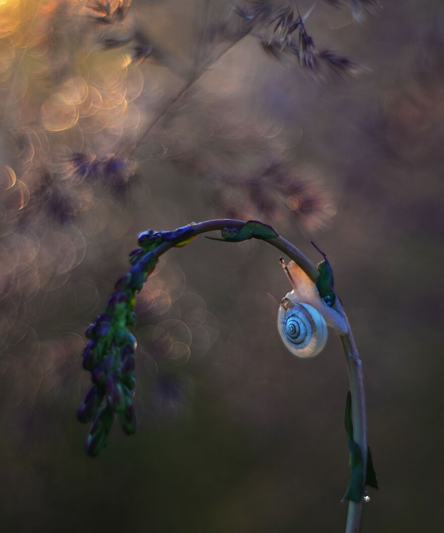 Nature Is Beautiful!