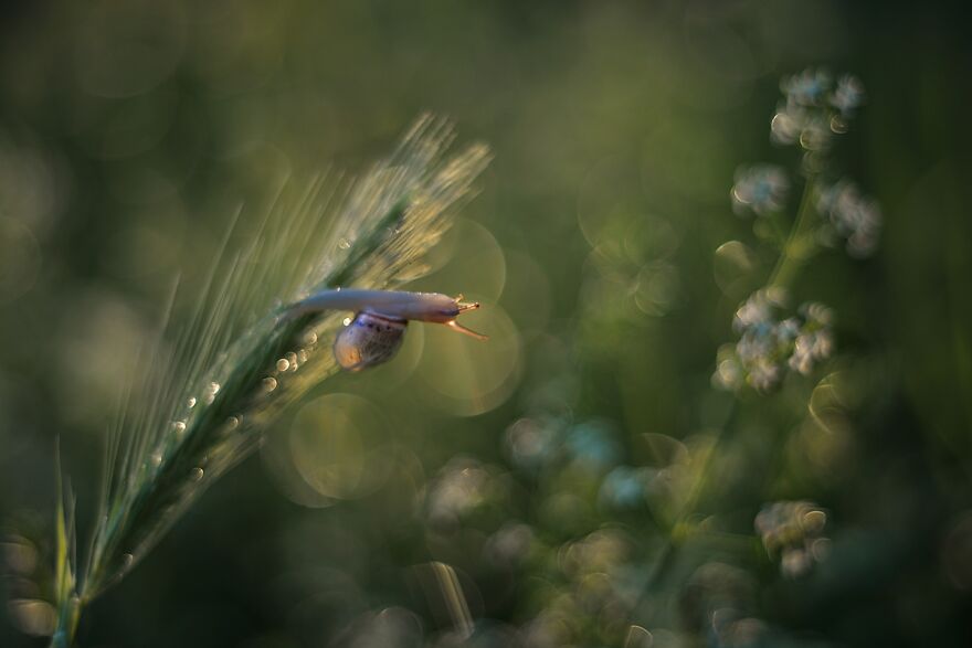 Nature Is Beautiful!