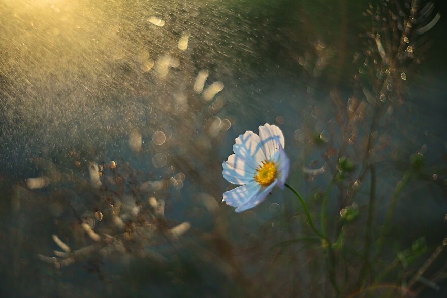 Nature Is Beautiful!