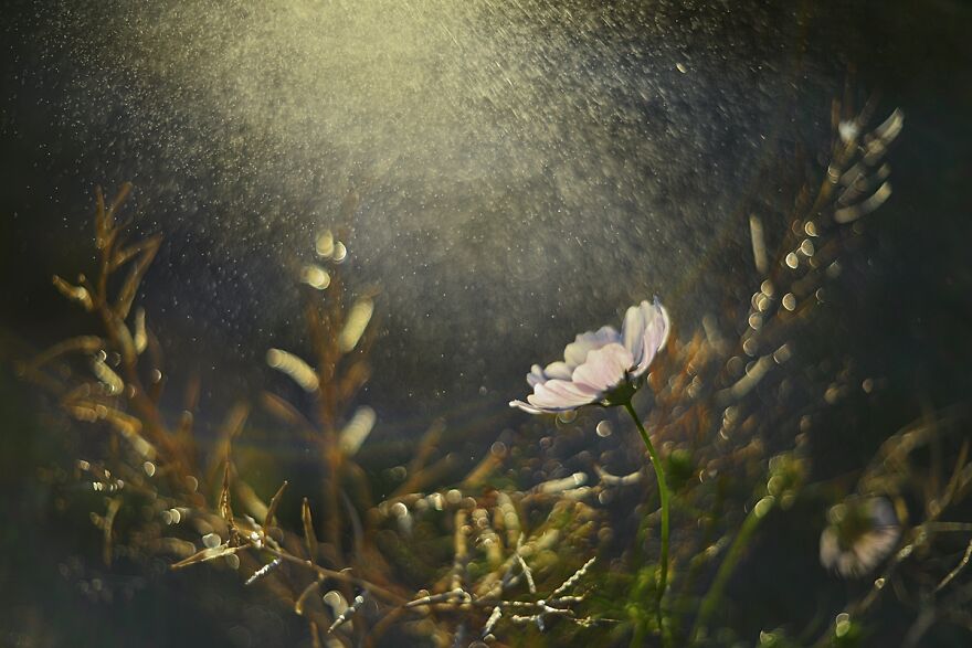 Nature Is Beautiful!