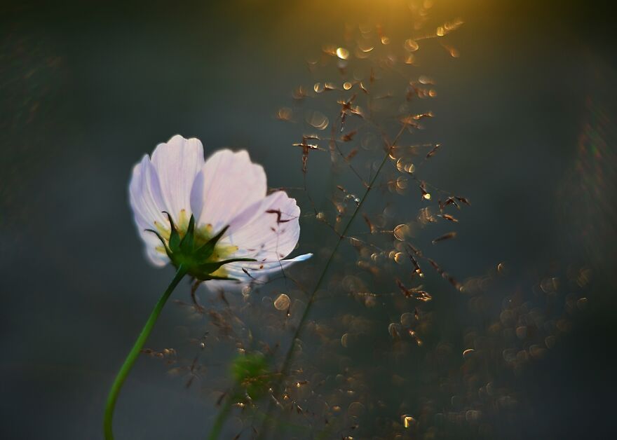 Nature Is Beautiful!