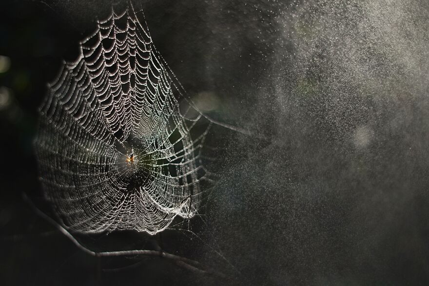 Nature Is Beautiful!