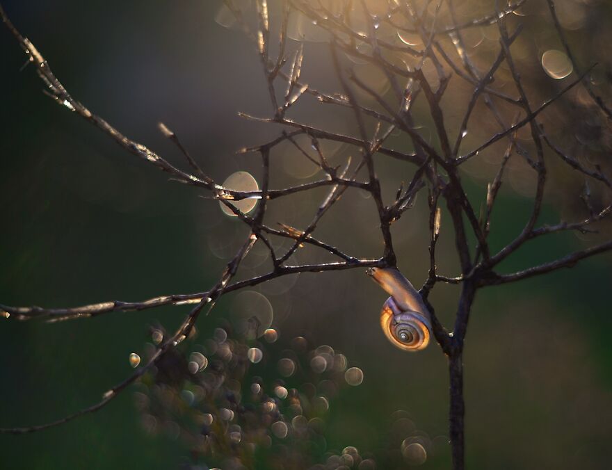 Nature Is Beautiful!