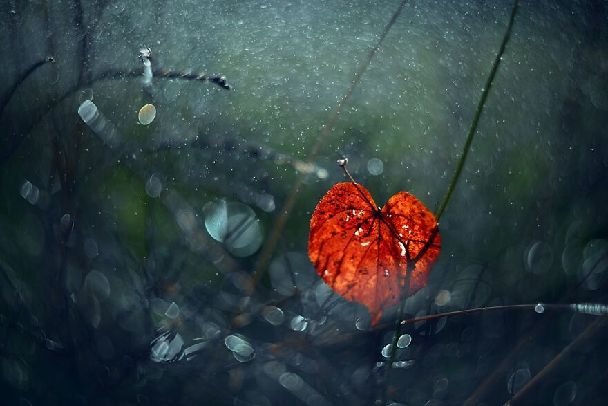 Nature Is Beautiful!