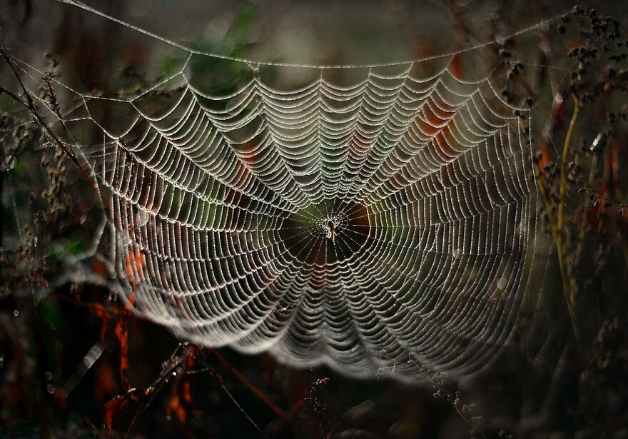 Nature Is Beautiful!