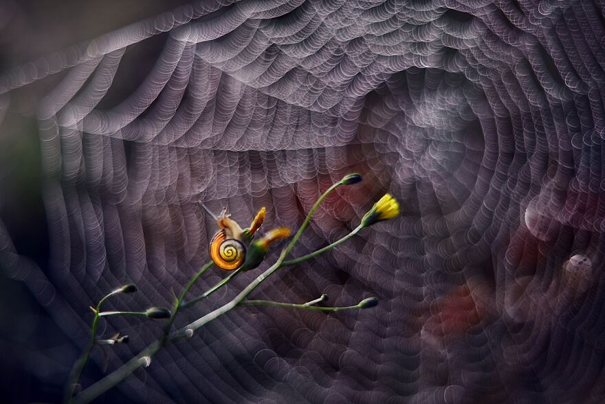 Nature Is Beautiful!