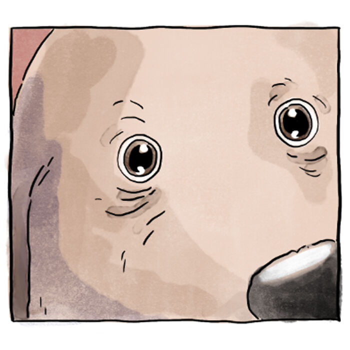 Artist Creates Heartfelt Comics About Life With A New Dog Without Using A Single Word (5 New Stories) Artist Creates Heartfelt Comics About Life With A New Dog Without Using A Single Word (5 New Stories)