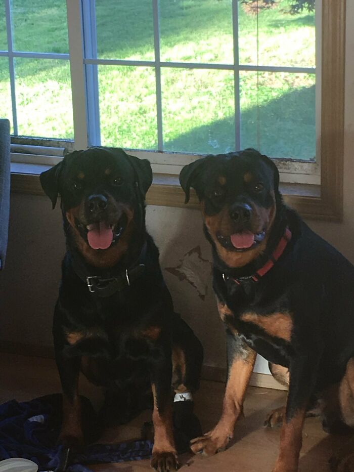 The Reason I Can’t Own Nice Things