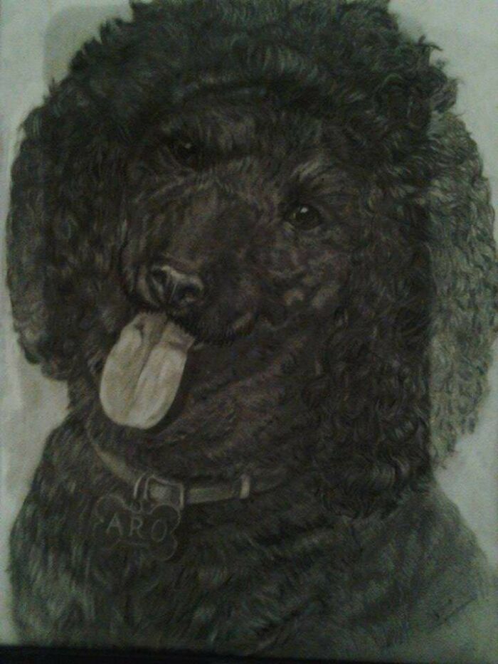 Last I Made, But Its A Long Time Ago Now, Might Start Again One Day But Dont Have Enough Time Now 😊