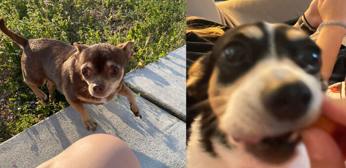 My Favorite Pics Of The Two Little Lovelies ^^