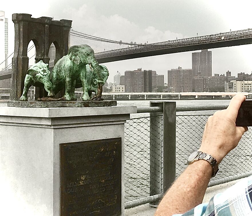 A Monument To The Brooklyn Bridge Elephant Stampede Of 1929 A Monument To The Brooklyn Bridge Elephant Stampede Of 1929