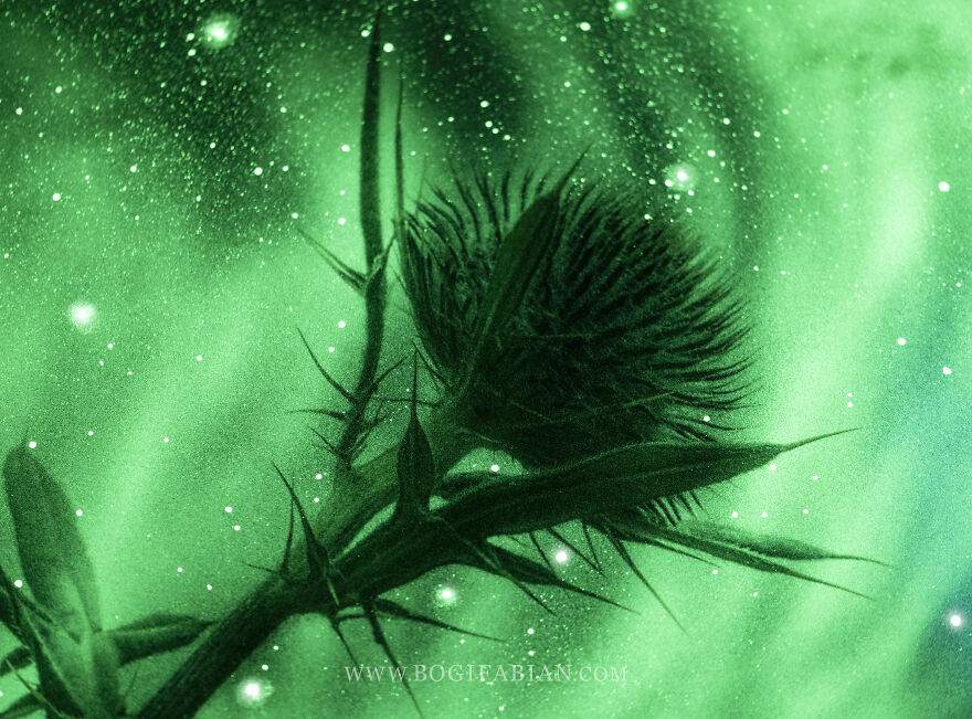 Fairytale Paintings Come Alive In The Dark Fairytale Paintings Come Alive In The Dark