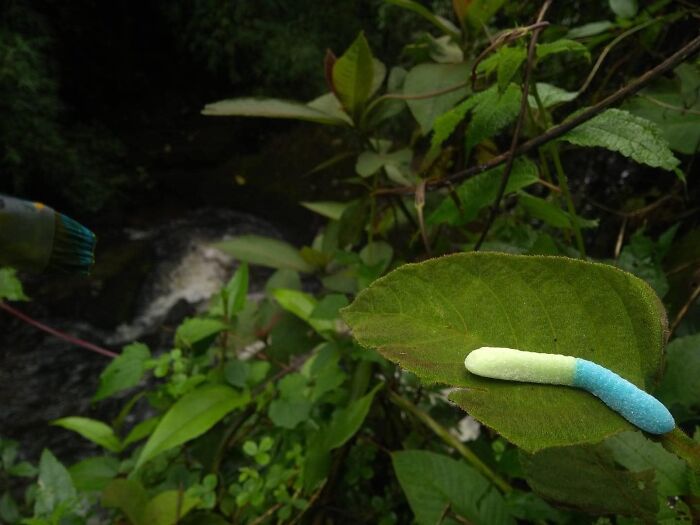 40 Times People Spotted Food In Places It Shouldn't Be And Just Had To Share Pics In This Online Group