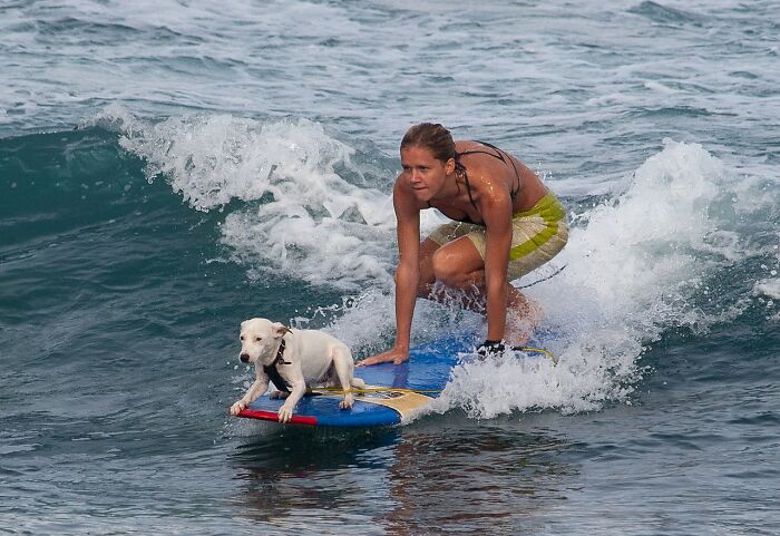 Woman And Dog Surfing On One Surfing Board 