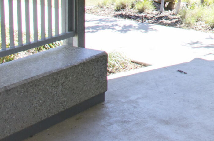 Waiting For My Little Sister