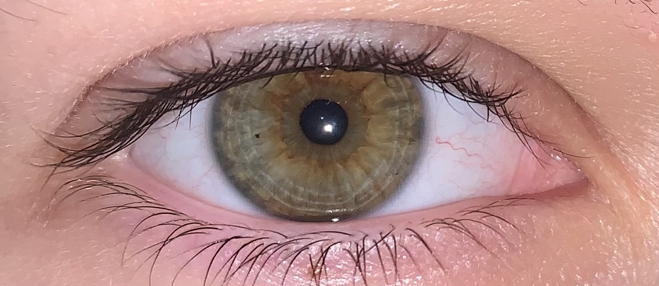 Hey Pandas, What Do Your Eyes Look Like?