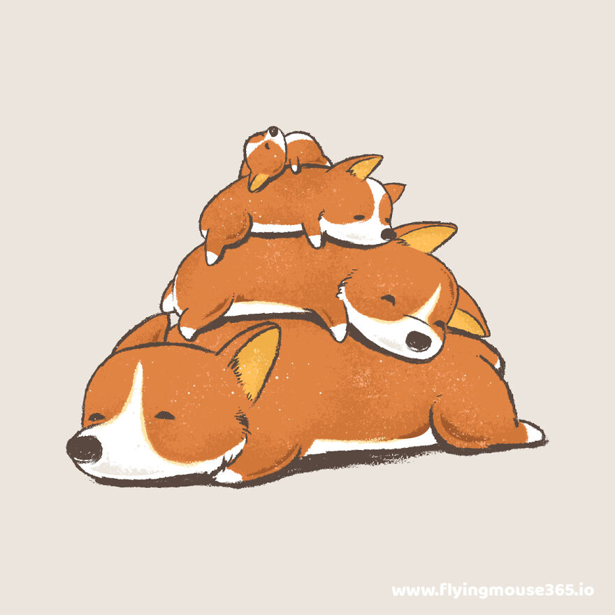Corgi Bed