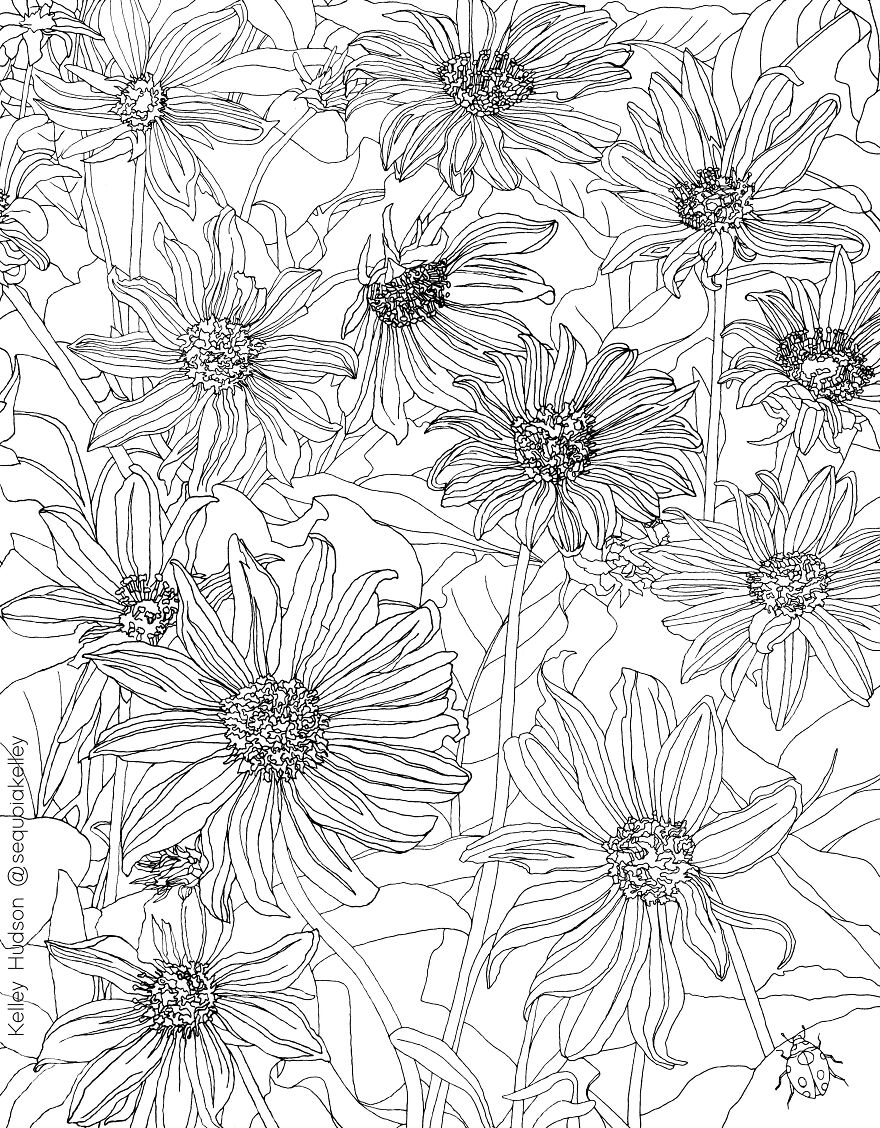 Arrow Leaf Balsam Root