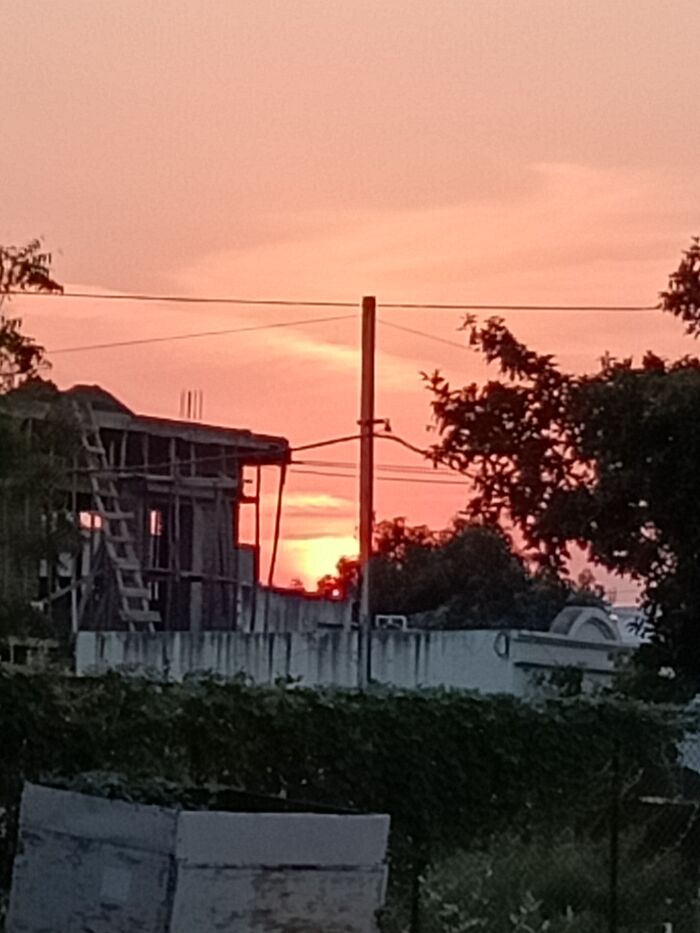 Took This Picture On My Way Home