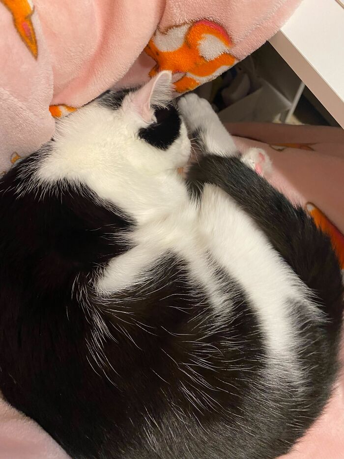 A Little Shrimp Pose Going On Here