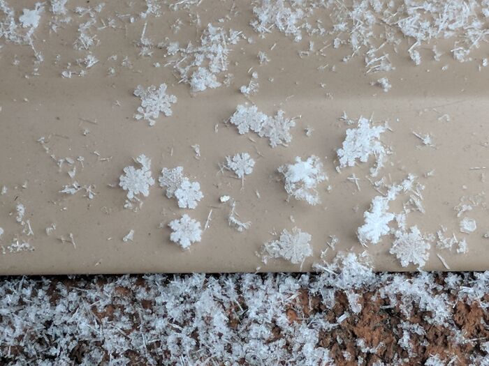 Me Picking Through Snowflakes With A Paintbrush To Show My Daughter's How Each One Is Unique Just Like Both Of Them