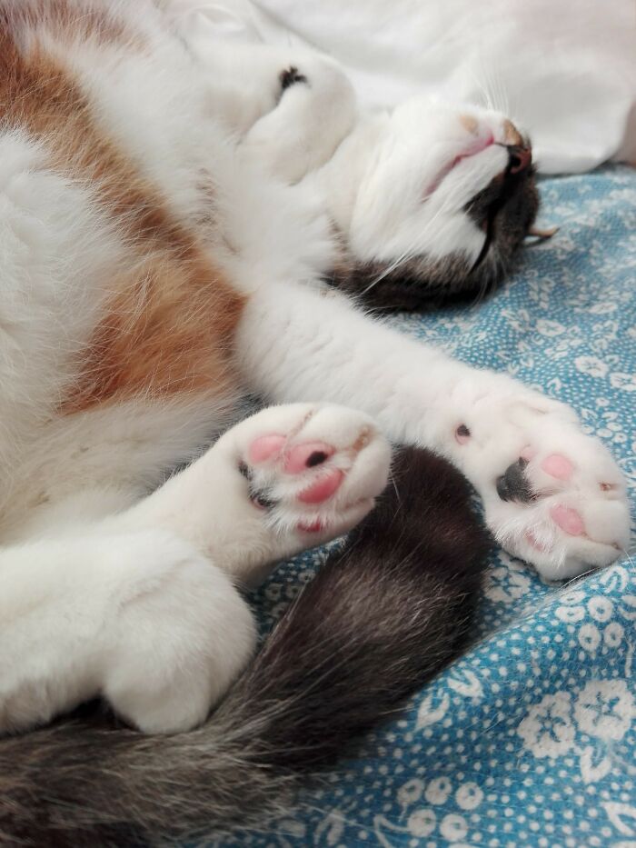 Beans, Beans, Beans!
