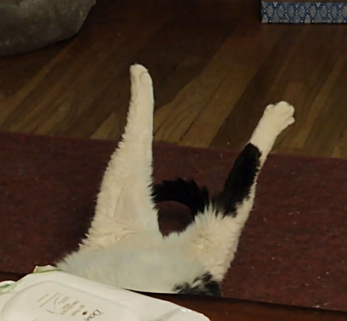 "Be Gone, Before Someone Drops A House On You!"!"