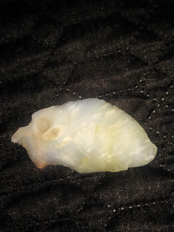 You Can See The Fossilized Grass Seeds! I Found This While Hiking Along A Storm Water Drainage Creek In Colorado About 8 Months Ago