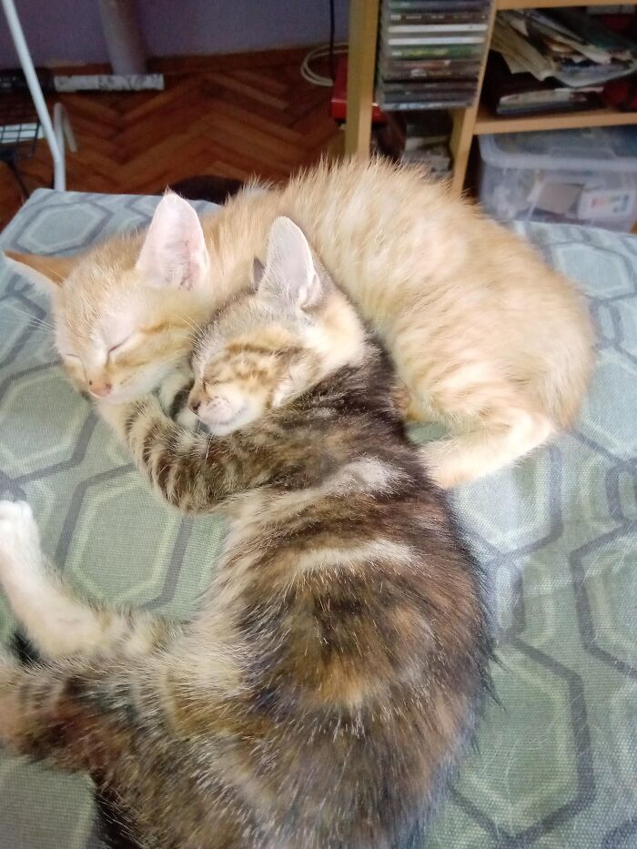Kiki And Sunny, Taking A Nap