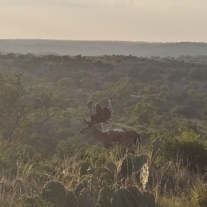 My Cousins Ranch In The Texas Hill Country