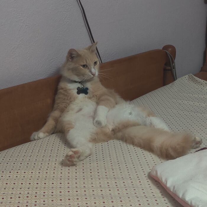 Hey, I'm Watching This! Leave Me Be