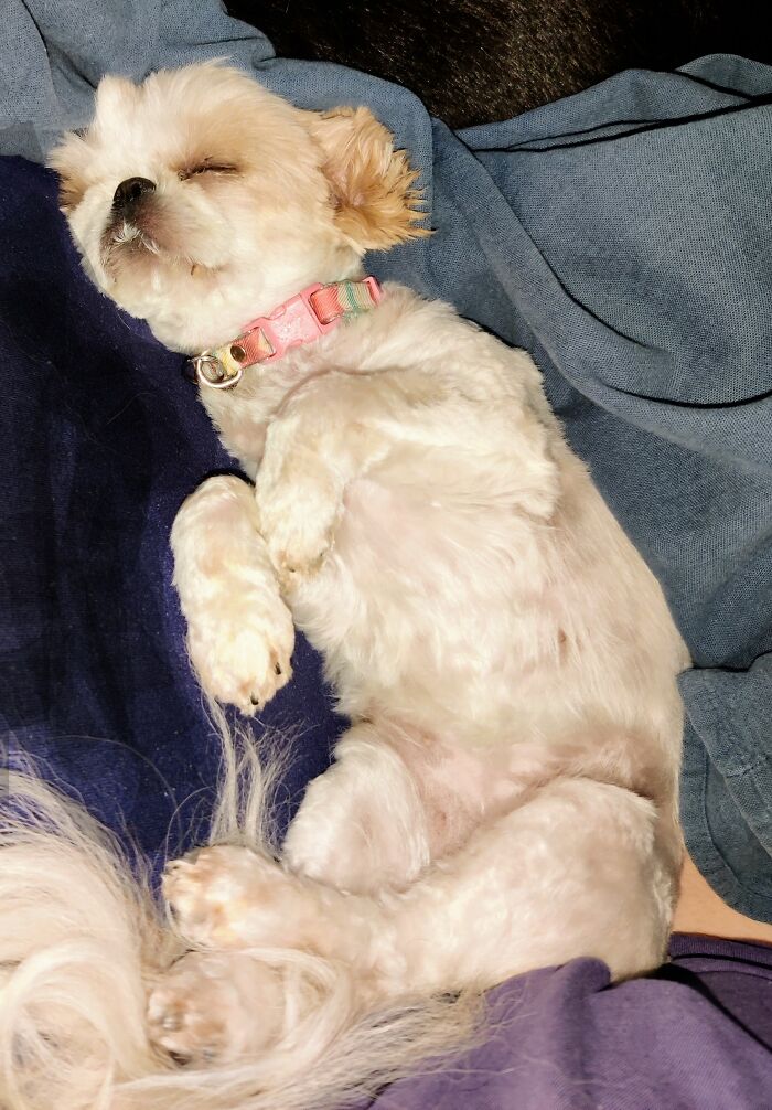 Mina Trying To Wake Up