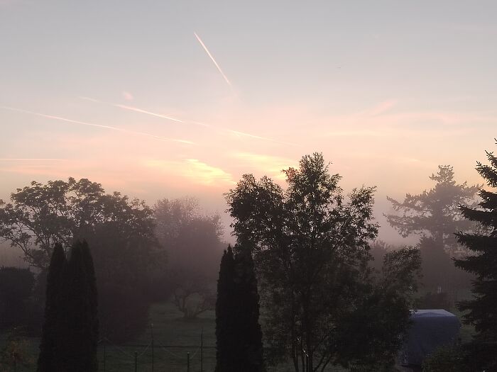 Moved From Berlin To A Small City. This Is My "Morning Coffee View"