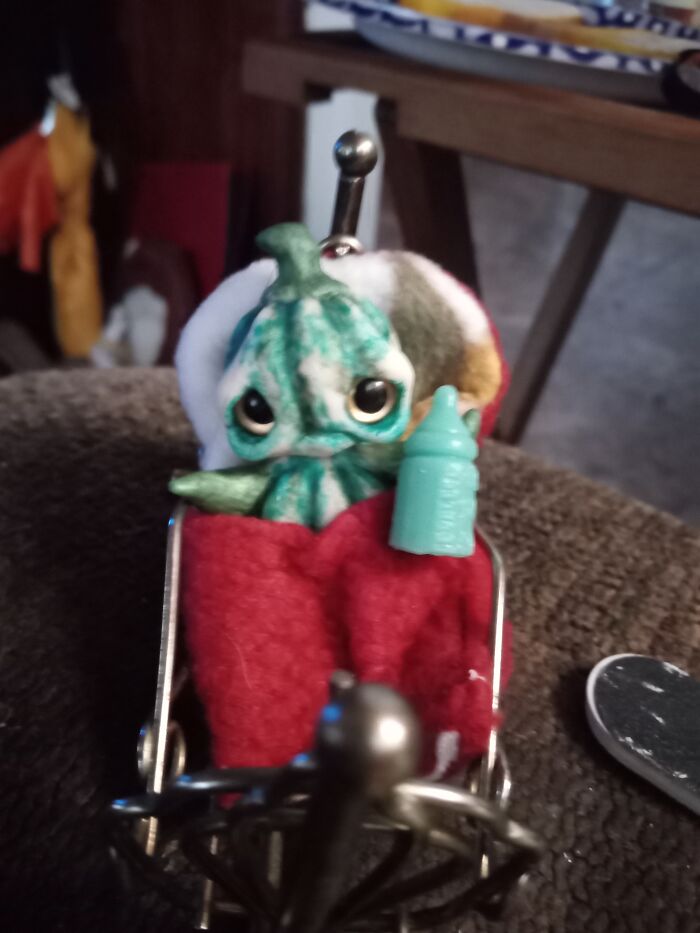 This Little Cutie Pie Is Named Nobu 💚