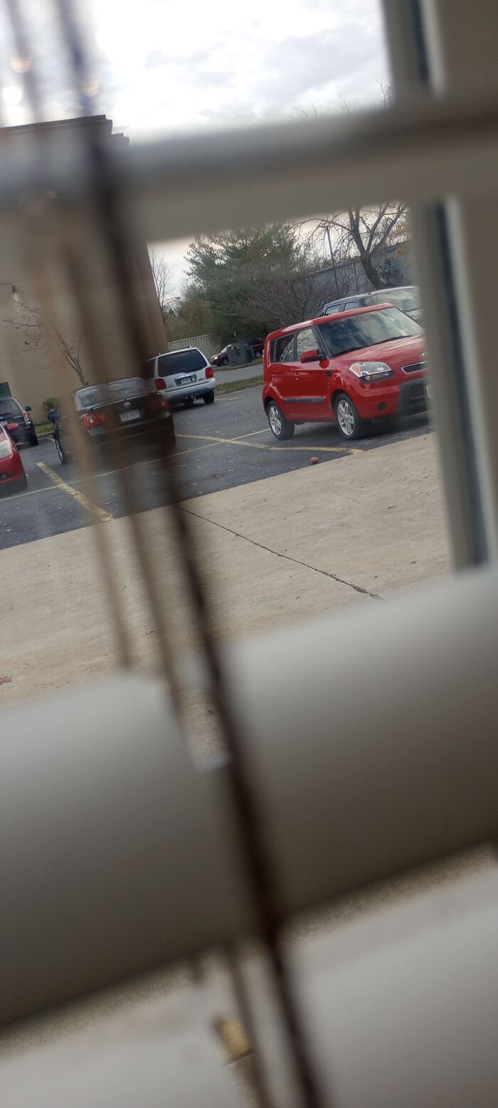 There Was A Random Potato In The Parking Lot! You're Welcome :d