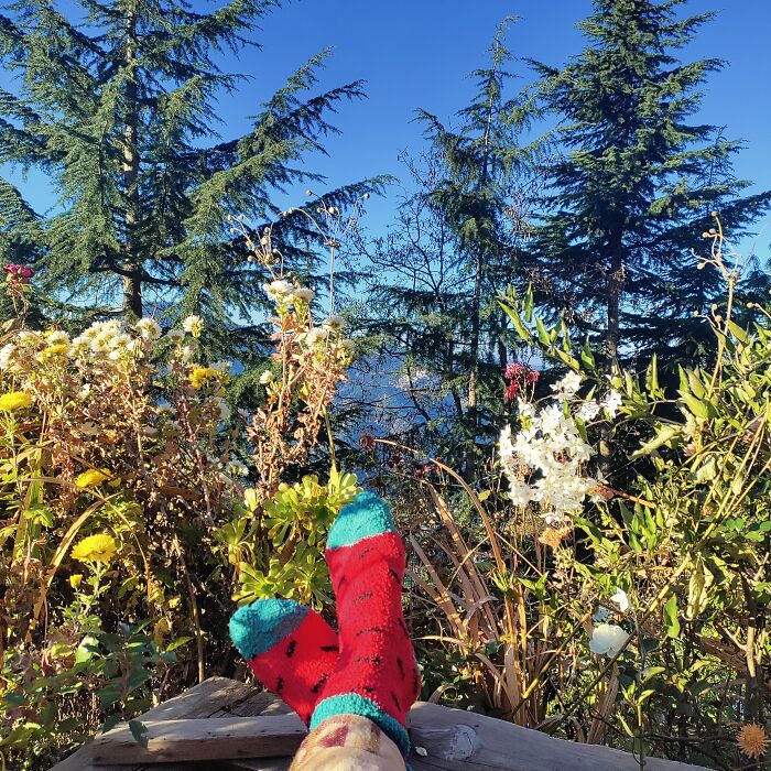 While On A Much Needed Vacation