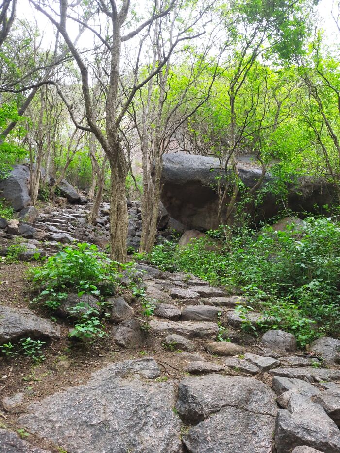 Around Bangalore, India