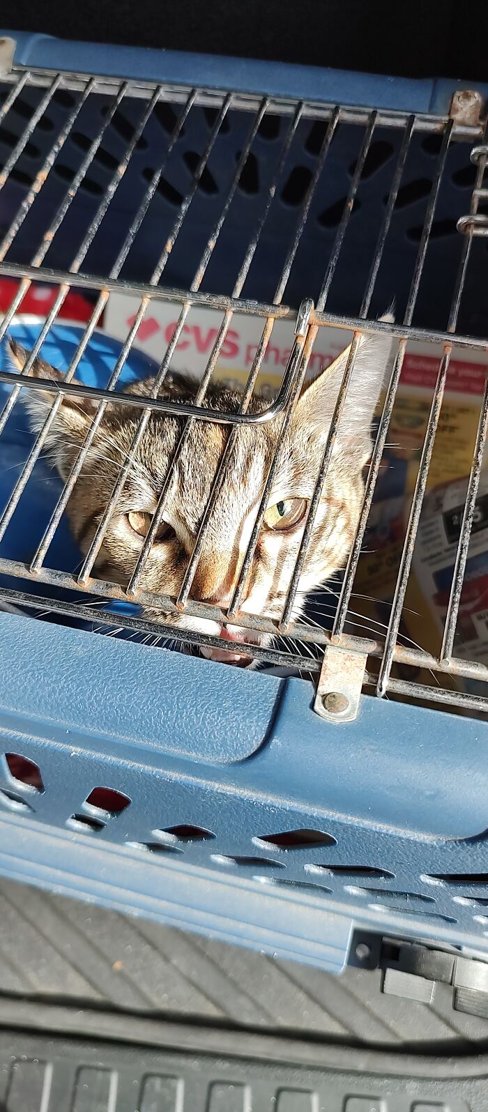 Don't Talk To Me I Am Tired