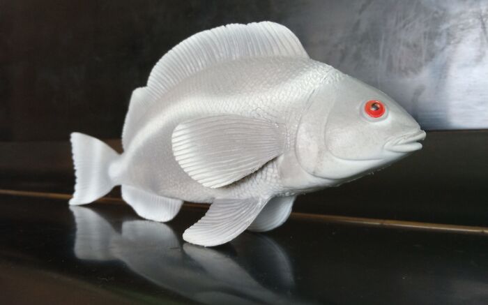 My Son Loves This 3D Plastic Fish And No One Knows Why